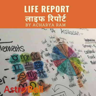 life-report